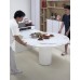 Multi-Functional Extendable Dining Table